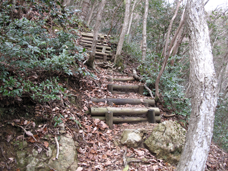 20140102hike (73)
